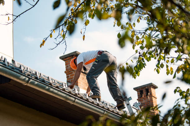 Professional Roofing Contractor in Hot Springs, SD
